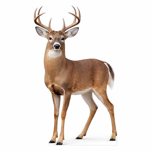 ATOZSIGN Life Size White-Tailed Deer Cutout 3 ft Animal Themed Party Decoration for Birthday and Themed Party