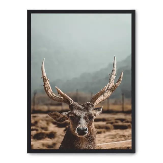 Cuadro deer FASE5 tableau décoratif de cerf moderne pour salon