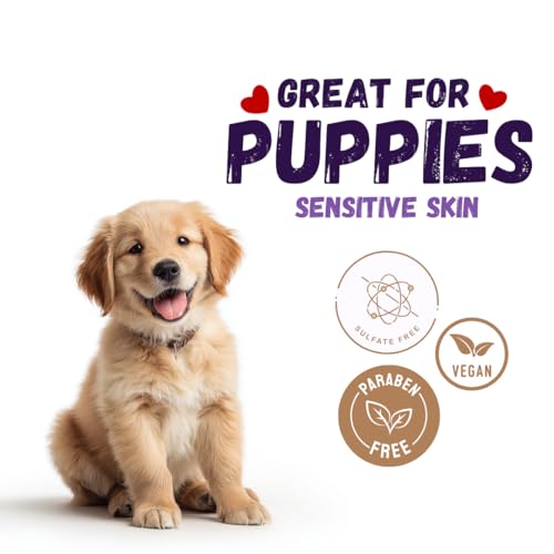 KELEBS Hundeshampoo Sensitiv | Fellpflege Hund | hundeshampoo welpen | Beruhigende natürliche Hunde Shampoo Seifenstücke | mit Lavendel Öl & Haferflocken | Vegan | 3er Pack (Lavender)