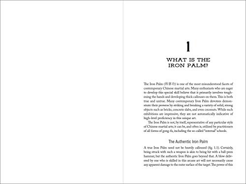 Authentic Iron Palm: The Complete Training Manual