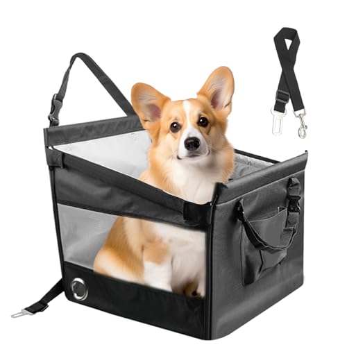 Siège d'auto de chiot pour voyager en voiture avec votre petit animal de compagnie