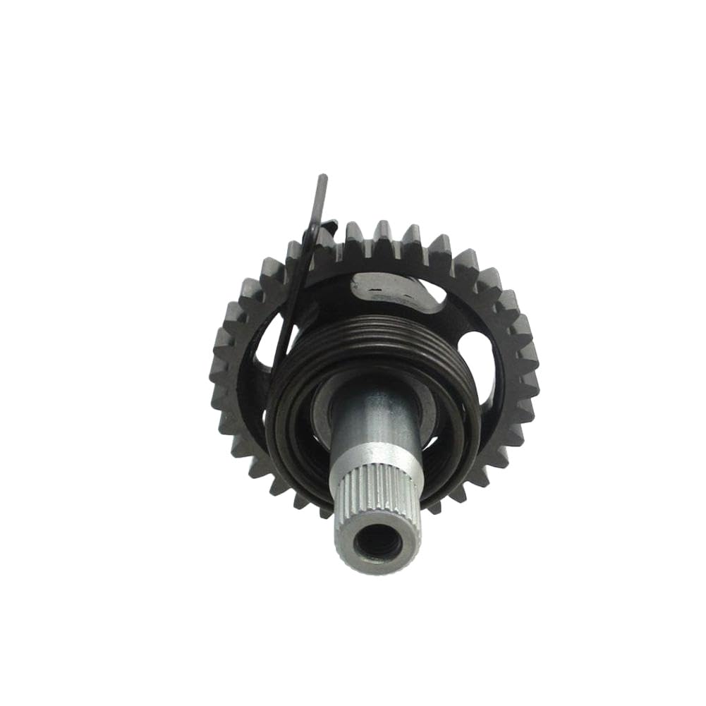 Gruppo albero di avviamento a pedale compatibile con il motore ZS177MM 250cc per motociclette fuoristrada selezionate