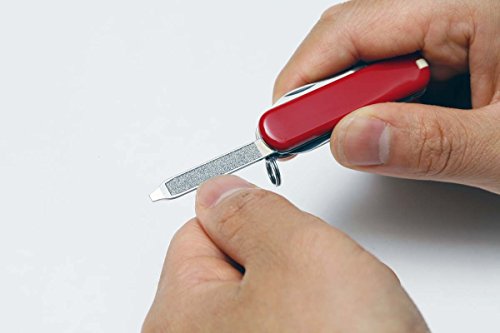 VICTORINOX(ビクトリノックス) ランブラー 0.6363 の商品画像 2