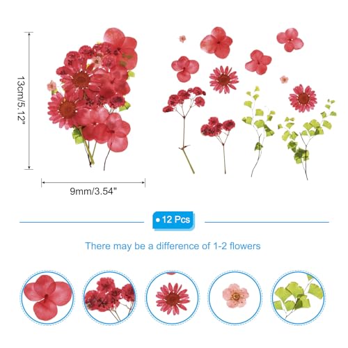 Flores secas prensadas naturales para manualidades miniatura 2