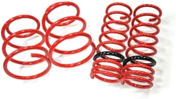 エルグランド TE52 ダウンサス 1台分 タナベ サステックNF210 TANABE（タナベ） エルグランド TE52 ダウンサス 1台分 サステック