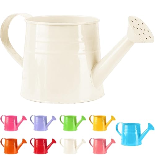 Tinplate Watering Kettle, 1L Metal Garden Watering...