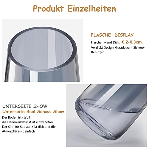 Vaas van glas, hoge helder glas, conische vazen, bloemenvaas decoratief met massieve ijsbodem, in stijl vaas voor thuiskantoor, 10 x 6,5 x 22 cm (Crystal Grey) - Afbeelding 4