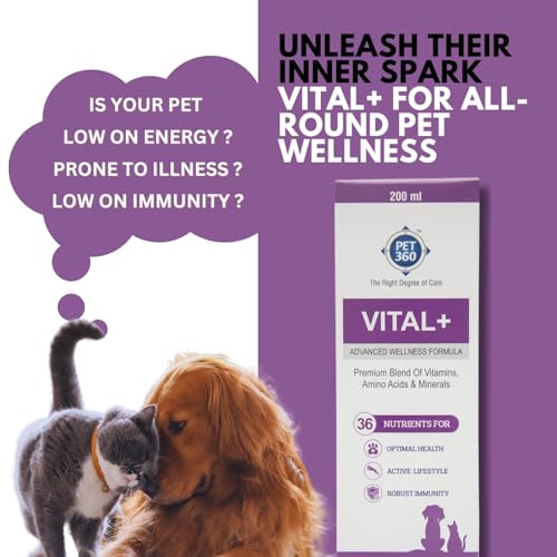 PET360-Vital-Advanced-Wellness-Formula-for-Dogs-Cats-Multivitamin-Syrup-for-Healthy-Skin-Joints-Boosted-Immunity-Nutritional-Supplement-with-Vitamins-Minerals-for-Enhanced-Growth-200-ml