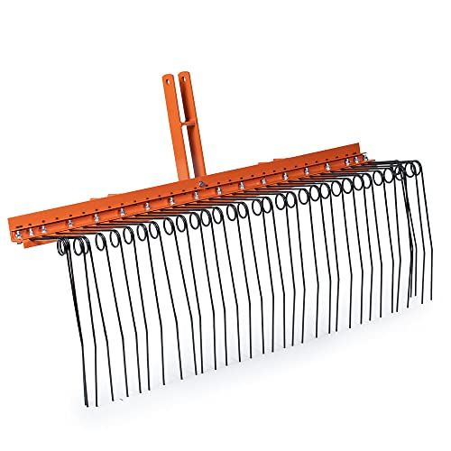 Find The Best Rake For Dead Grass Reviews & Comparison Katynel