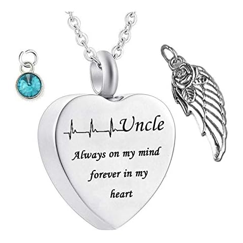 Hoisy Pet Ashes Keepsake Box, Memorial Necklace Brother Heart Electrocardiogram Birthstone Wing Sky Blue 50X2cm Cover