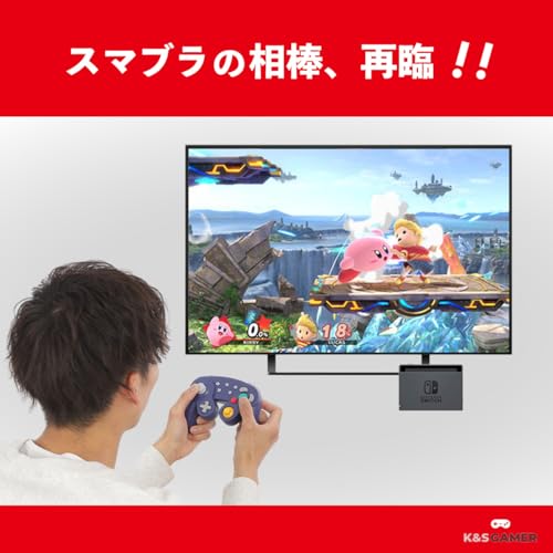 【K&SGAMER】 Switch Pro ゲームキューブ型 コントローラー （ターボ & 振動機能） (ブラック)