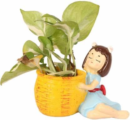 See full amazon price history chart for Rinsely Lovely Side Girl with Basket|Cute Dream Girl Flower Pot Resin Succulent Pot|Succulent Planter|Flower Pot| Gamla Indoor Home Garden and Office Decoration Craft Plant Container Set(Poly Resin) Rinsely Lovely Side Girl with Basket|Cute Dream Girl Flower Pot Resin Succulent Pot|Succulent Planter|Flower Pot| Gamla Indoor Home Garden and Office Decoration Craft Plant Container Set(Poly Resin) (B09NT35JF1) Amazon Price History, Amazon Price Tracker