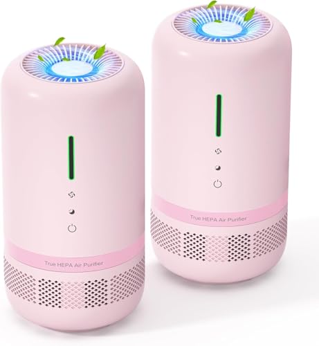 HEPA Air Purifier for Home 2 Pack