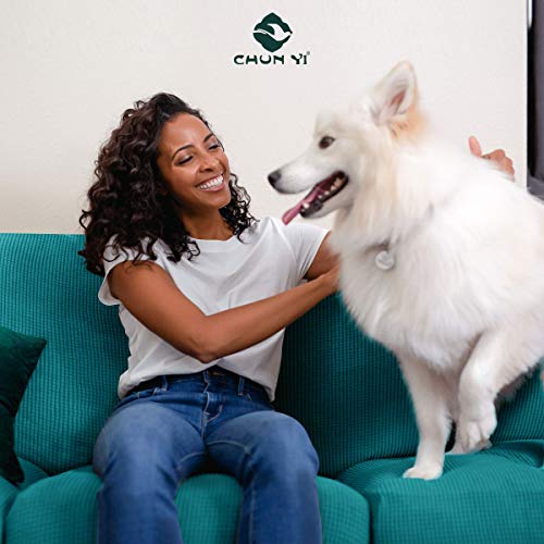 Chun Yi Stretch Sofa Slipcover Set For Loveseat And Armchair, Couch Slipcover With Separate Cushion Sofa Cover Set For 1 2 Seater Settee (Teal/Turquoize, Covers For Loveseat& Chair) #TOP6