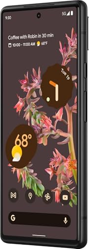 Image of Google Pixel 6 5G (Stormy Black, 8GB RAM, 256GB Storage)