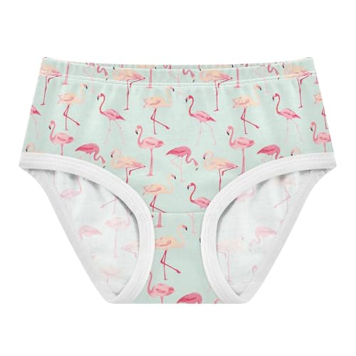 Girls Underwear Soft Cotton Flamingos Kids Panties in Sizes 2/3t, 4t, 5t, 6 and 8