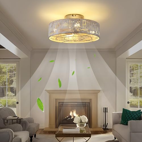 Alaruder Caged Ceiling Fans with Lights Flush Mount,Low Profile Ceiling Fan with Remote,20 Inch Caged White Fan for Bedroom,6 Speeds Reversible Enclosed Fandalier Ceiling Fan with Bulb - Image 2