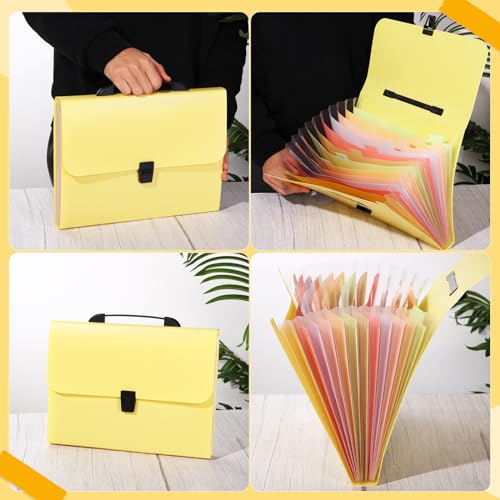 Cholemy Pasta de arquivo expansível com 13 bolsos com alça grande à prova d'água expansível mensal