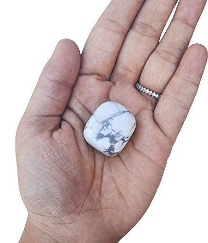 Maitri Export Natural Howlite Single Crystal Tumble Stones for Reiki Healing Crystal Tumbled Stones Raw Rough Gemstones Pebble Stones (Pack of 1 pc) (Howlite) (B08XNVBGHM) Amazon Price History, Amazon Price Tracker