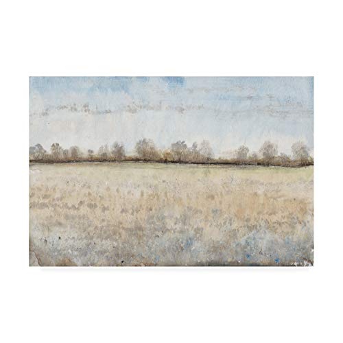 Trademark Fine Art Grazing Land I by Tim Otoole, 22x32 by Trademark Fine Art - Used condition - US$28.70