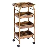 carrello parrucchiere, carrello di rotolamento con 4/5 cassetti porta asciugacapelli home hairdressing storage shelf per barbiere, tecnici unghie & trucco (colore : gold-a, taglia : 35x30x80cm)