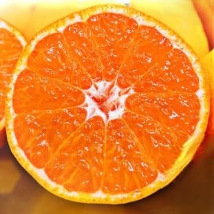 (甘みが濃縮されたみかん)愛媛で育った夕やけみかん(極)3kg(C49-25)