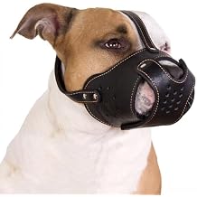 CollarDirect Dog Muzzle Pitbull Amstaff Basket Genuine Leather Staffordshire Terrier Black