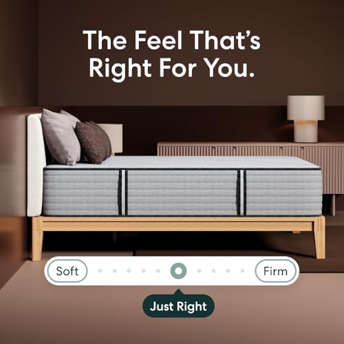 Image of Siena 14 inch Signature Hybrid Twin XL Mattress & Bonus Pillow - Medium Firm - Memory Foam & Innerspring System - 180-Night Trial - Pressure-Relief - Mattress in a Box
