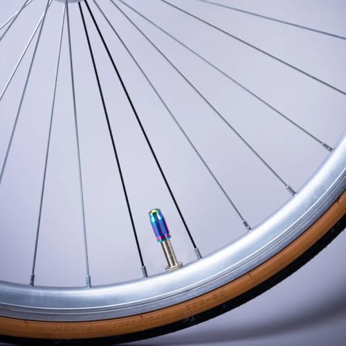 Tapas de válvula para neumáticos de bicicleta de aleación de titanio estilo francés en color surtido, 2 piezas miniatura 5