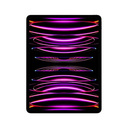 2022 Apple 12,9" iPad Pro (Wi-Fi, 1 TB) - Space Grau (6. Generation)