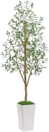 Artificial Olive Trees, Fake Olive Trees for Indoor, Faux Olive Silk Tree, Large Olive Plants (1, White Tall Planter, 6 FT)