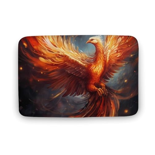 Phoenixess Coral Velvet Rugs Non-Slip Bathroom Rugs Soft Kitchen Rug Floor Carpet for Home Decor 19.7