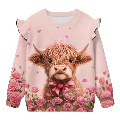 Xhuibop Fall Sweatshirts for Toddler Ruffle Long Sleeve Pullover Shirts Graphic Tees Tops for Girls 1-8Y4