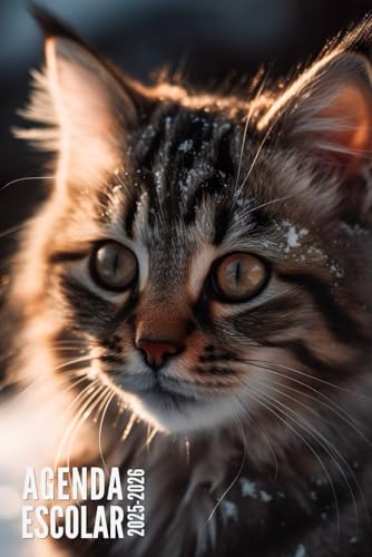 Agenda Escolar 2025 2026: Gatito - Para Niños, Niñas, Estudiantes, Primaria, Secundaria, Universitario | Con Calendario, Horario, Fecha Para Recordar y Más
