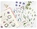 Washi Planner Sticker, Decorative Adhesive Sticker, Craft Scrapbooking Sticker Set for Diary, Album, Notebook, Bullet Journal, 12 Sheets/Pack (Plants)