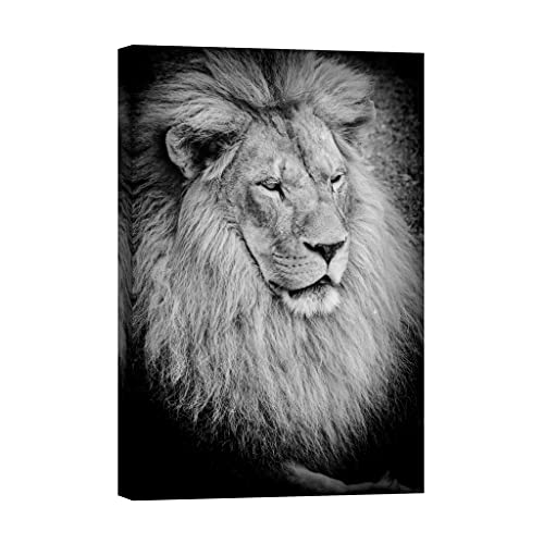 Tableau animaux Lights in the dark 80x120 cm idéal pour créer une ambiance zen dans la chambre