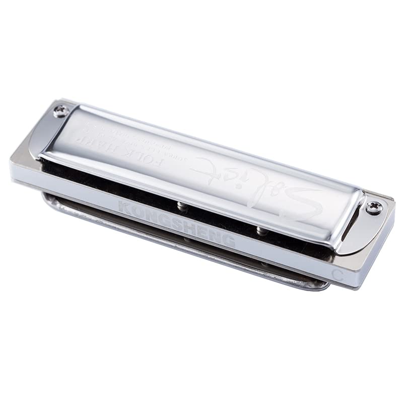 Harmonica Soliste 10 trous diatonic harmonica Folk Blues harpe en acier inoxydable couvercle orgue professionnel… - Les Beatles, Paul McCartney, John Lennon, RIngo Starr, George Harrison Harmonica Soliste 10 trous diatonic harmonica Folk Blues harpe en acier inoxydable couvercle orgue professionnel… – Image 5