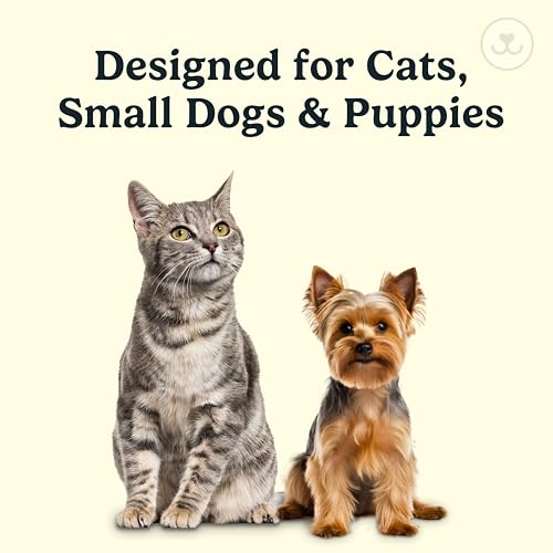 Image of Jasper Microbrush Vet Approved Cat Toothbrush, Soft-Bristled Toothbrush Kit for Felines & Small Dogs, Non-Slip Handle with 2 Replaceable Tooth Brush Heads, Use with Cat Toothpaste, 2-Pack, Gray Mist