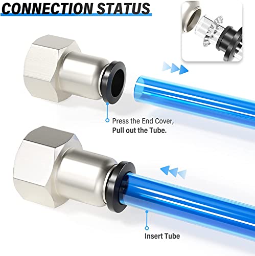 TAILONZ PNEUMATIC Female Straight 6mm Tube OD X 1/8 Inch BSP Thread Push To Connect Fittings PCF6-01(Pack Of 10