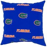 College Covers Florida Gators Outdoor Decorative Throw Pillow, 16" x 16"