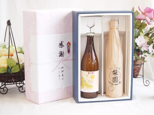 ӂ̑蕨t[c{bNX2{Zbg(AfJ T[G[ zCg5x(t) V 12x(啪)) 500ml×2{