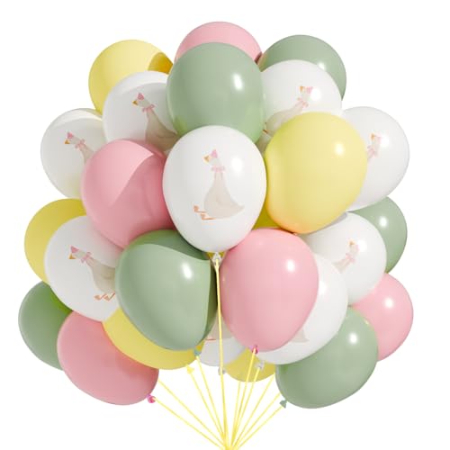 Motionchic 60 Pcs Bow Goose Balloons Set 12 Inch Pastel Pink Latex Balloons Silly Goose Birthday Party Decorations Baby Shower Decor