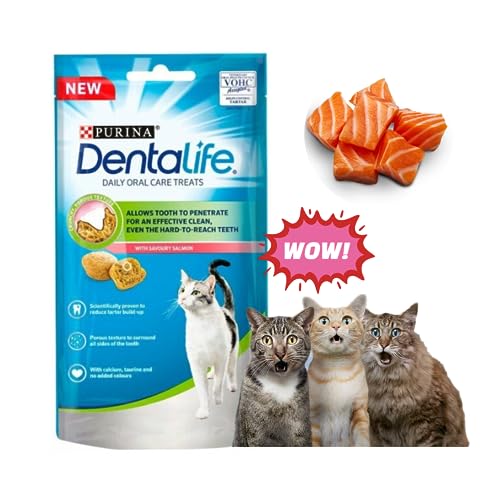 Cat Dental Treats Bundle │Includes: │ Purina Dentalife Salmon Treat for Cats/Cat Dental Biscuits (2 x 40g)│and Cat Treat Toy/Cat Puzzle Feeder (Mouse Shape Interactive Food…