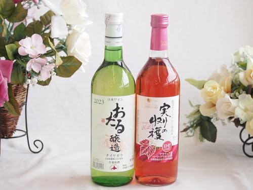 鐶100%iCAKCƍYC2{Zbg(iCAKC720ml̎n [C Ì(R)720ml