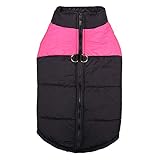 ★ Fácil de poner y quitar: Diseño de cremallera, flexible y práctico, fácil de colocar. Mantiene el calor, perfecto para la época de invierno. Es un regalo perfecto para su perro.
