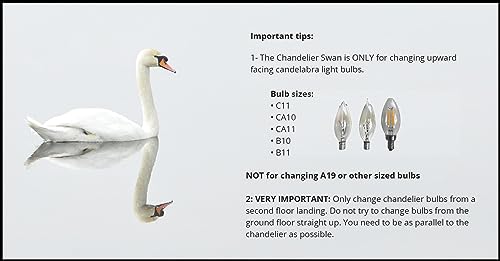 Chandelier Swan CS1 Candelabra Shaped Light Bulb Changer thumb #5