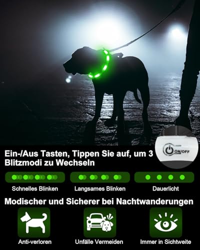 Joytale Leuchthalsband Hund USB Aufladbar Hundehalsband Leuchtend für Große Mittel Kleine Hunde und Welpe, Led Halsband mit 3 Modi für Sicherheit, Grün