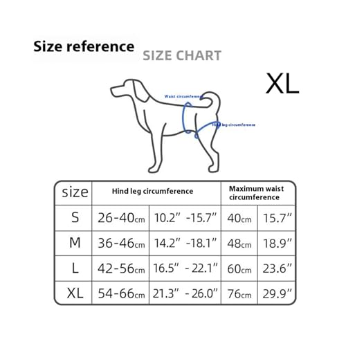 Harnais de levage pour chien âgé et à mobilité réduite avec sangle ajustable