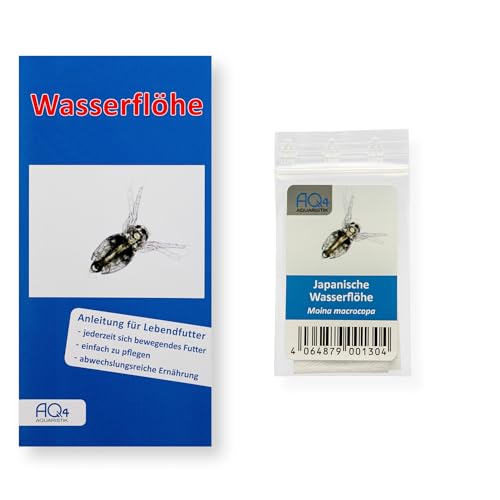 Lebendfutter - Japanische Wasserflöhe - Moina macrocopa (Zuchtansatz, Reine Wasserfloheier) - Lebendfutter für Fische im Aquarium