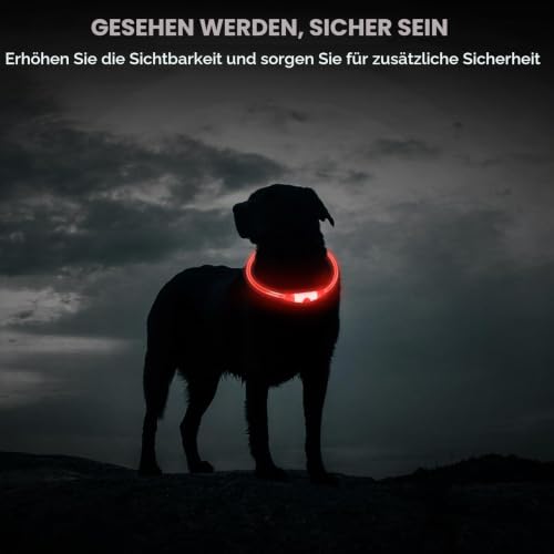 CoCoDonut LED Leuchthalsband Hund, USB aufladbar, Sicherheit bei Nacht – Ansicht 6